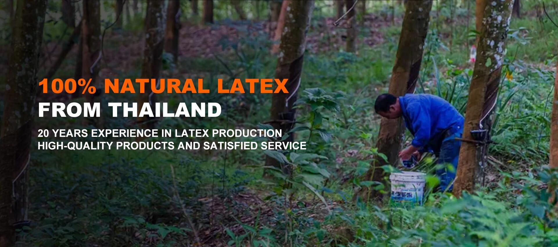 Natural Latex Mattress Supplier